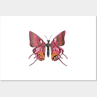 Pink Butterfly Posters and Art